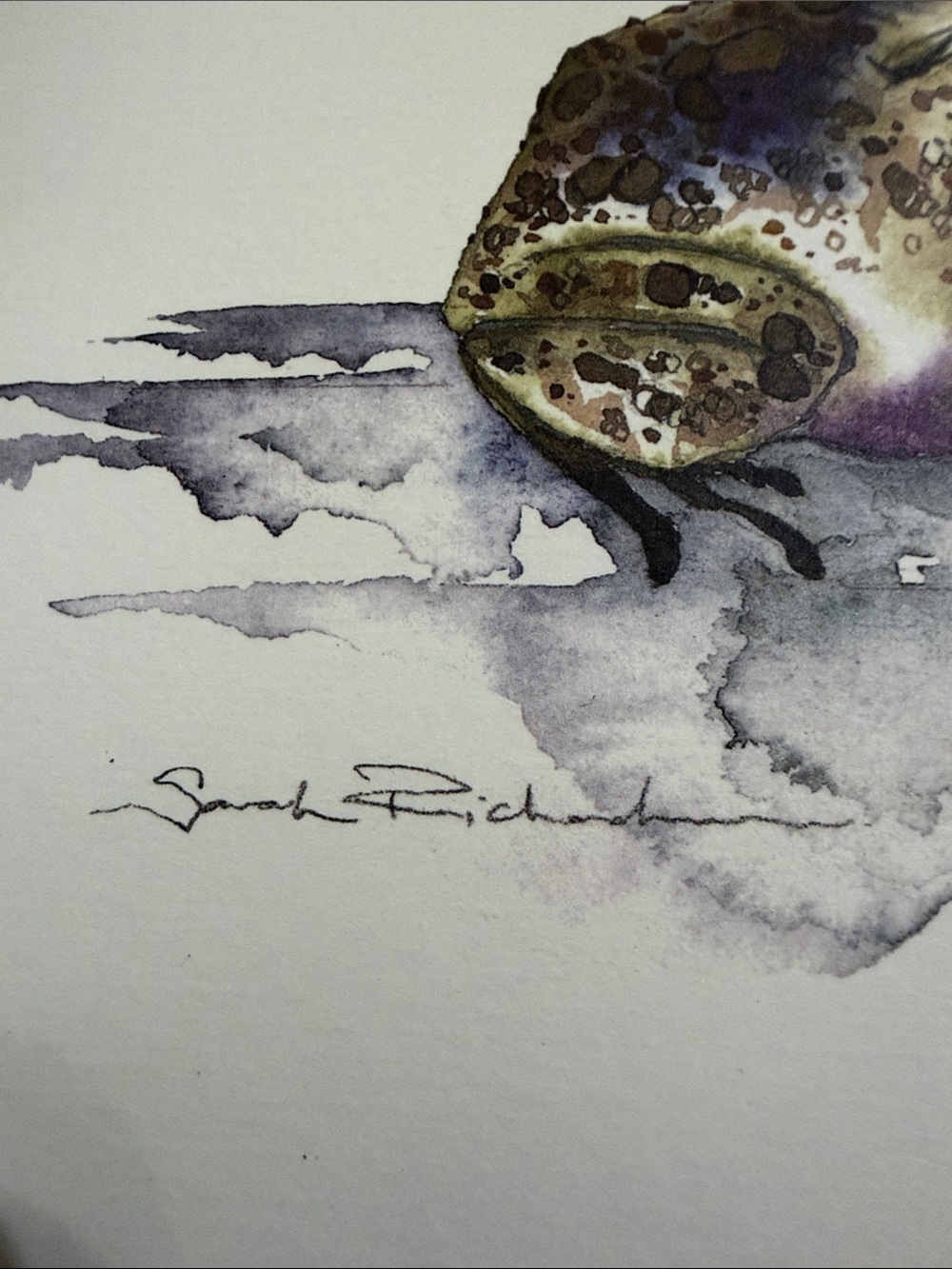 Frog/Toad Art - Picture 5 of 6